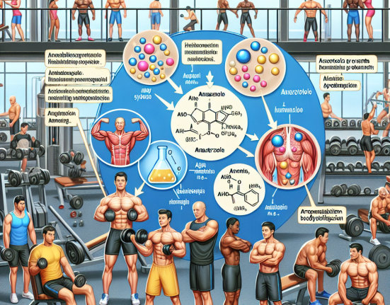 The efficacy of anastrozole in aromatization prevention for bodybuilders